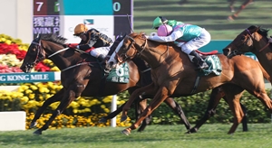 Able One HK Mile